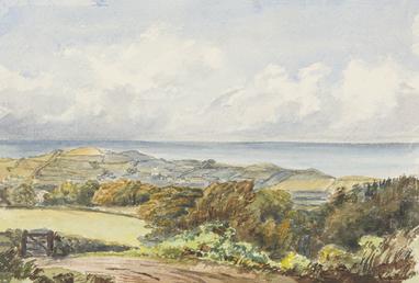 Manx Landscape
