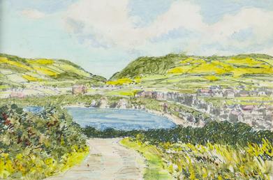 Port Erin from Ballahowe Road