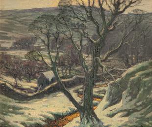 Tree and landscape in snow