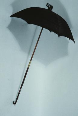 Brown parasol