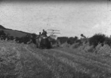 Crop harvesting in the Isle of Man