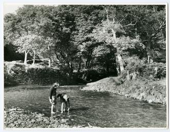 Two children paddling in Sulby River