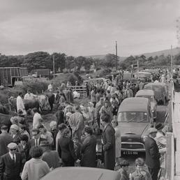 Southern Agricultural Show