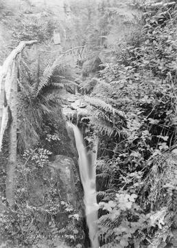 Lhen Coan waterfall, Groudle