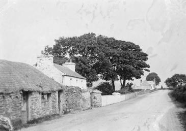 Thatched cottages and house near road