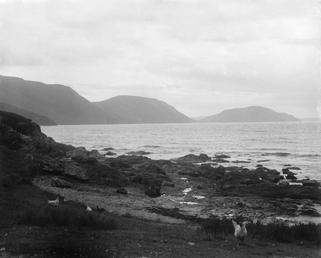 View from Niarbyl along the 'tail of rocks',…