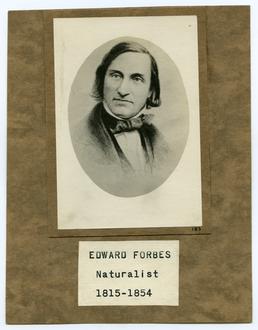 Edward Forbes, Naturalist (b.1815-d.1854)