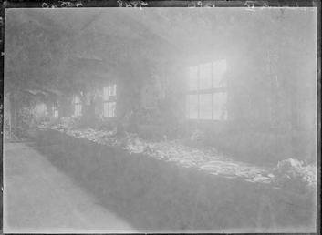 First World War Internee Horticultural Show, Douglas or…
