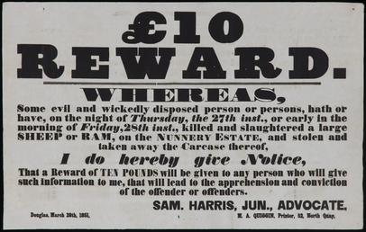 £10 reward for information to catch a sheep…
